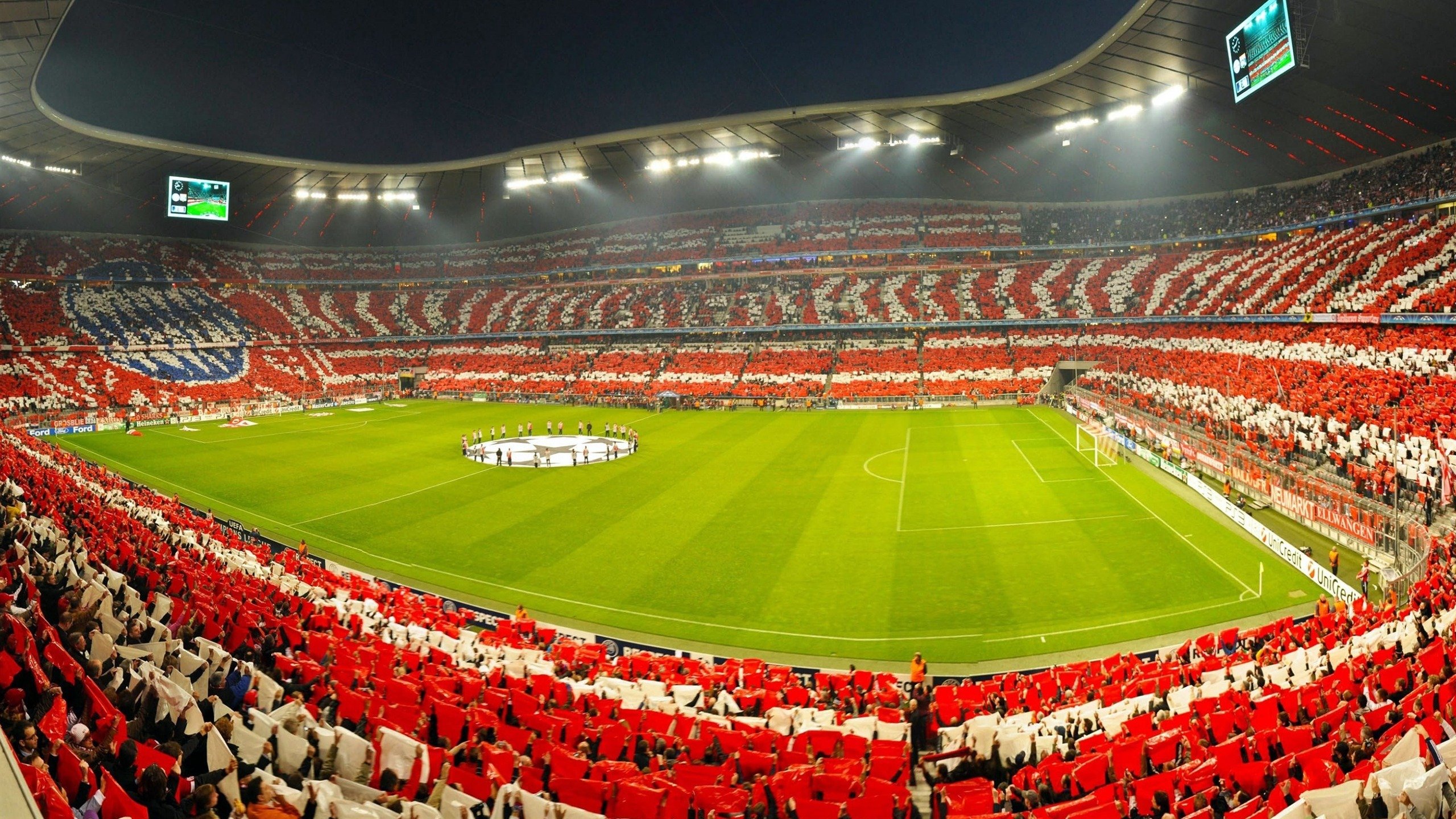 塔图姆回归赛场，败北首场状态亮眼，G2观众沸腾！