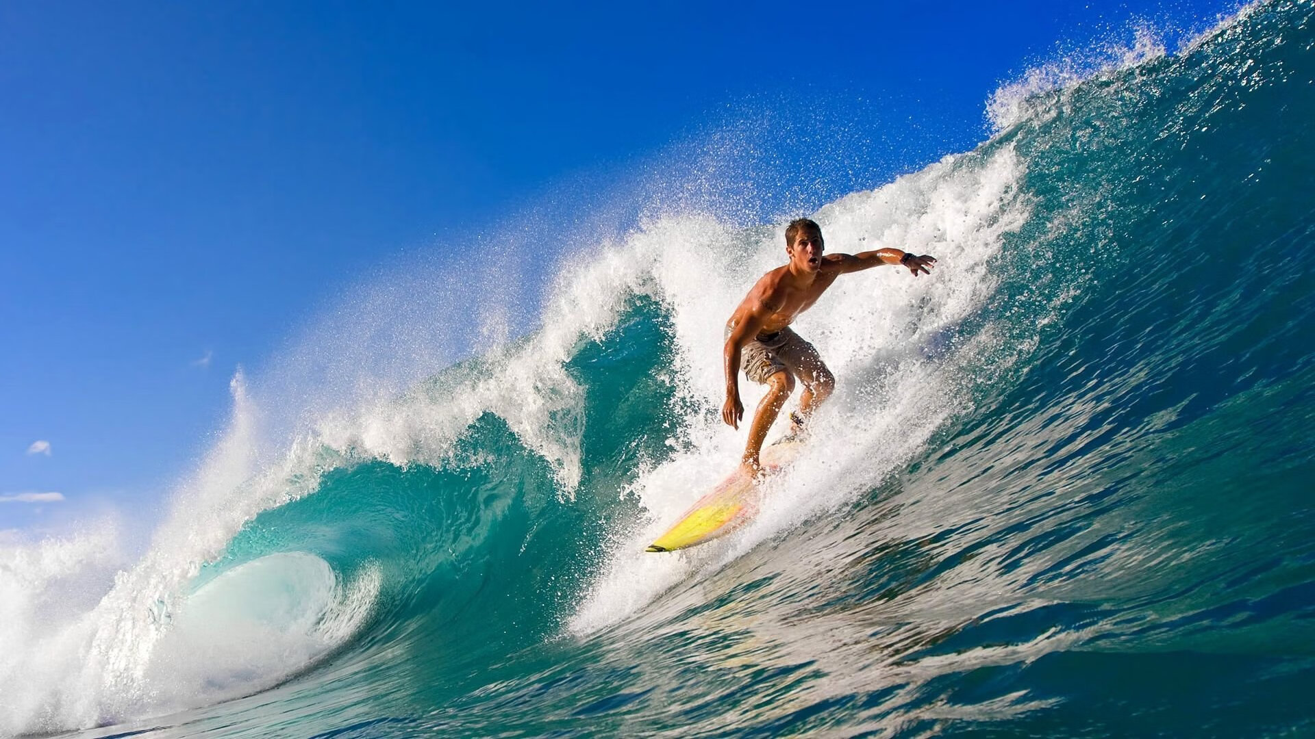 Scout新星赛况扑朔迷离表现惊艳，湖人未来可期！